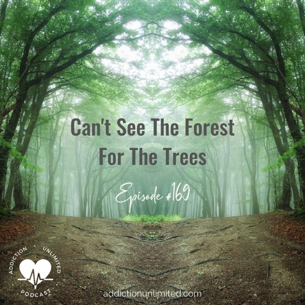 Can T See The Forest For The Trees Addiction Unlimited Podcast   Cant See The Forest For The Trees 1024x1024 