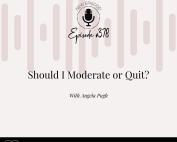 Podcast episode cover for Addiction Unlimited with Angela Pugh, titled “Should I Moderate or Quit?” Episode #378. Background includes soft pink soundwave design, with text directing listeners to addictionunlimited.com/episodes.