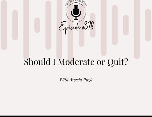 Should I Moderate or Quit?